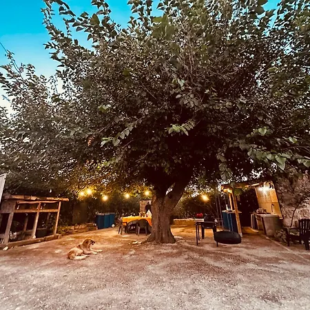 Maison d'hôtes The Olive Grove Sicily Chiaramonte Gulfi